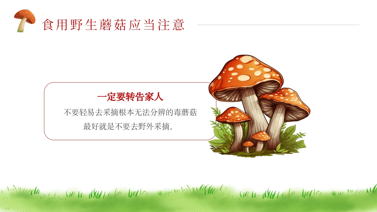 珍爱生命远离毒蘑菇安全教育PPT课件14