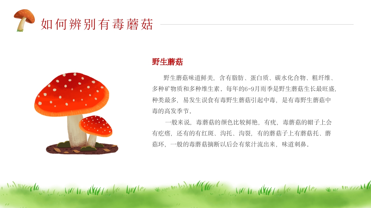 珍爱生命远离毒蘑菇安全教育PPT课件4