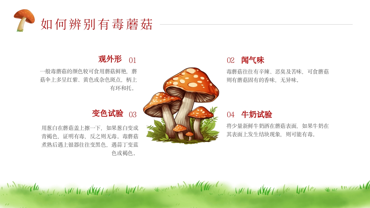 珍爱生命远离毒蘑菇安全教育PPT课件5