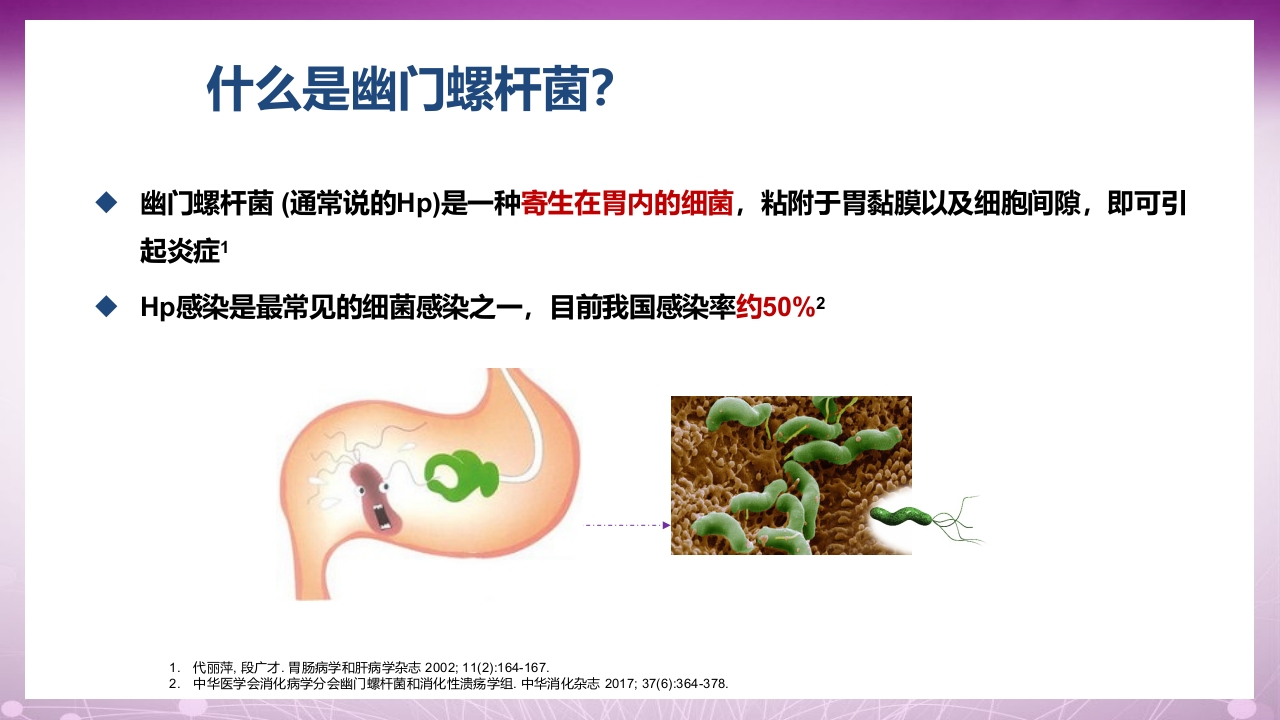 幽门螺杆菌感染患者教育PPT课件3