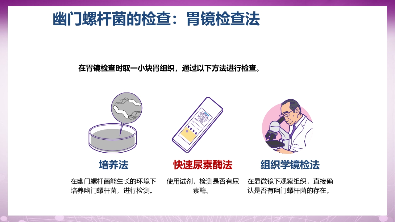 幽门螺杆菌感染患者教育PPT课件9