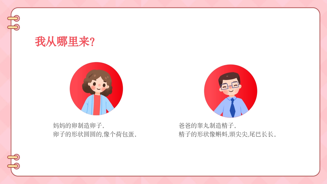 《男生女生不一样》幼儿园两性教育PPT课件4