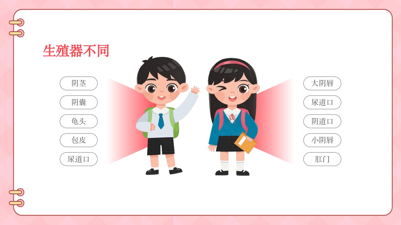 《男生女生不一样》幼儿园两性教育PPT课件8