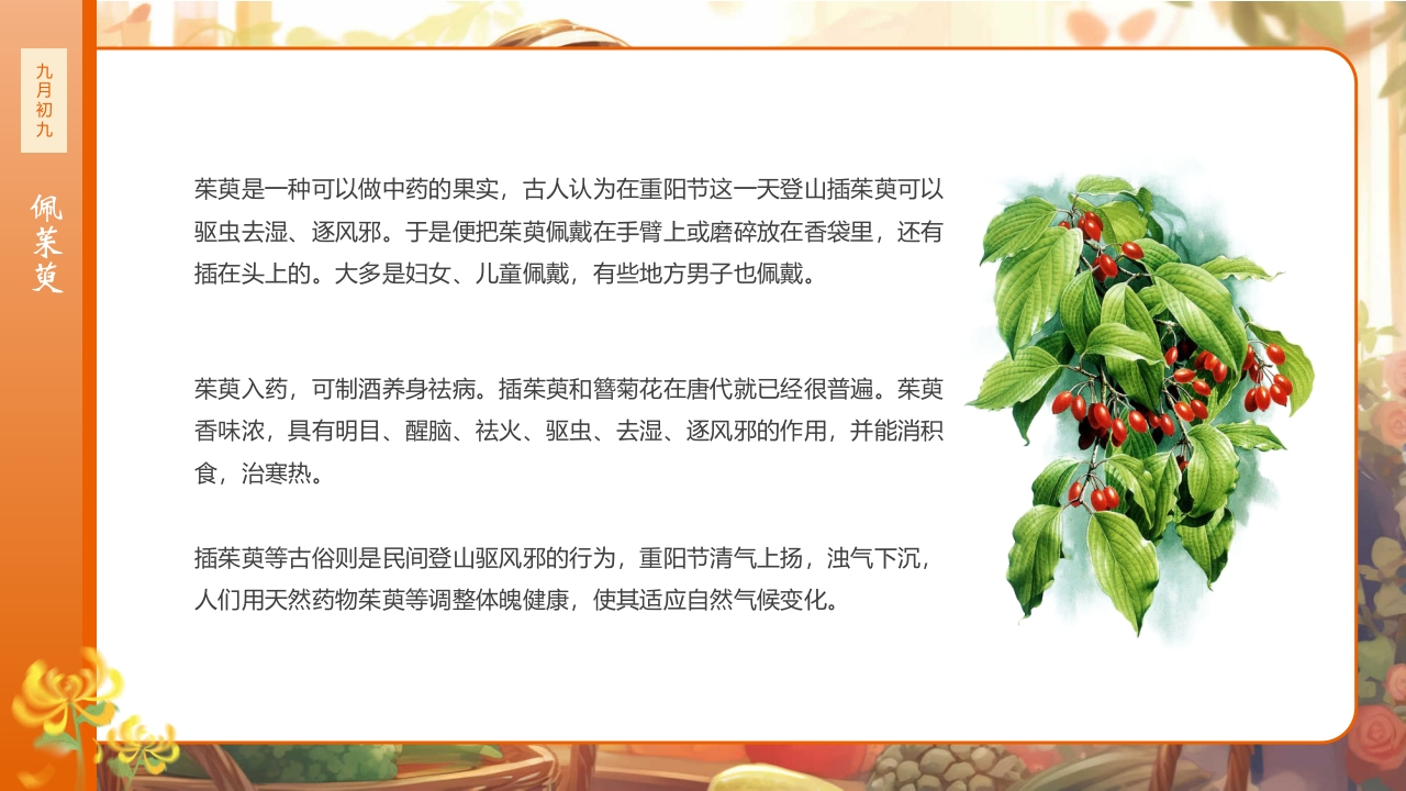 九九重阳节浓浓敬老情传统节日重阳节介绍课件18