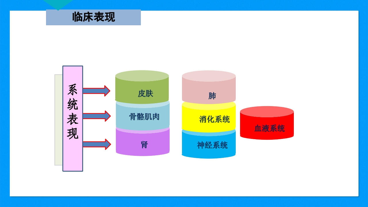 皮肤干燥综合征PPT课件下载9