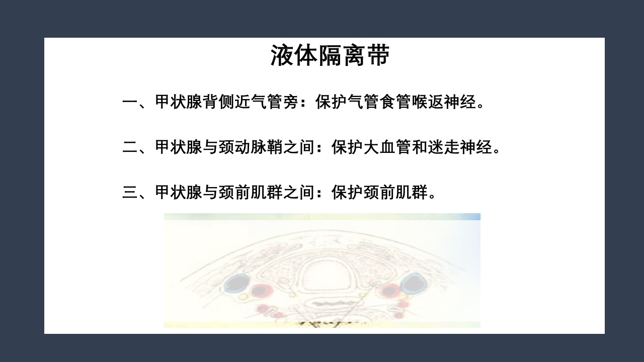 超声引导下甲状腺结节射频消融PPT课件32