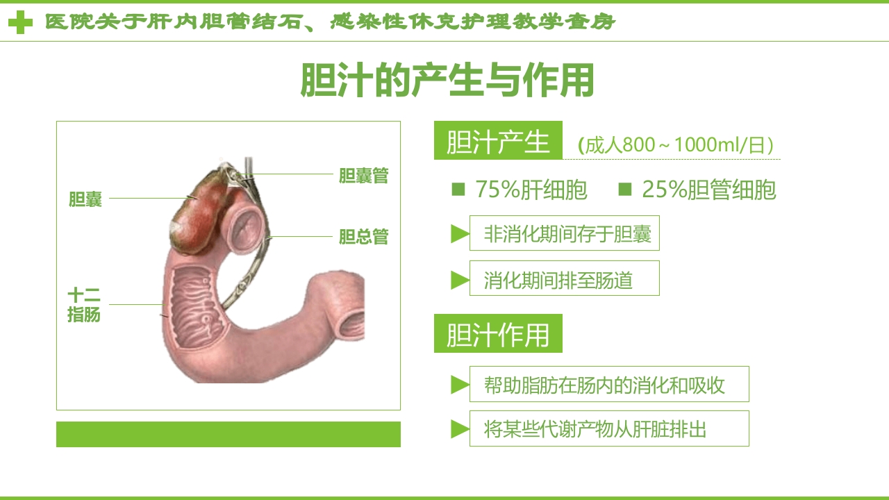 感染性休克肝胆内结石护理教学查房PPT课件2