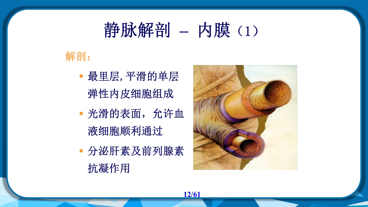 PICC导管相关性血栓形成及处理PPT课件12