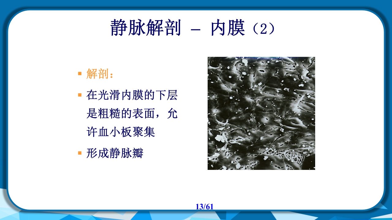 PICC导管相关性血栓形成及处理PPT课件13