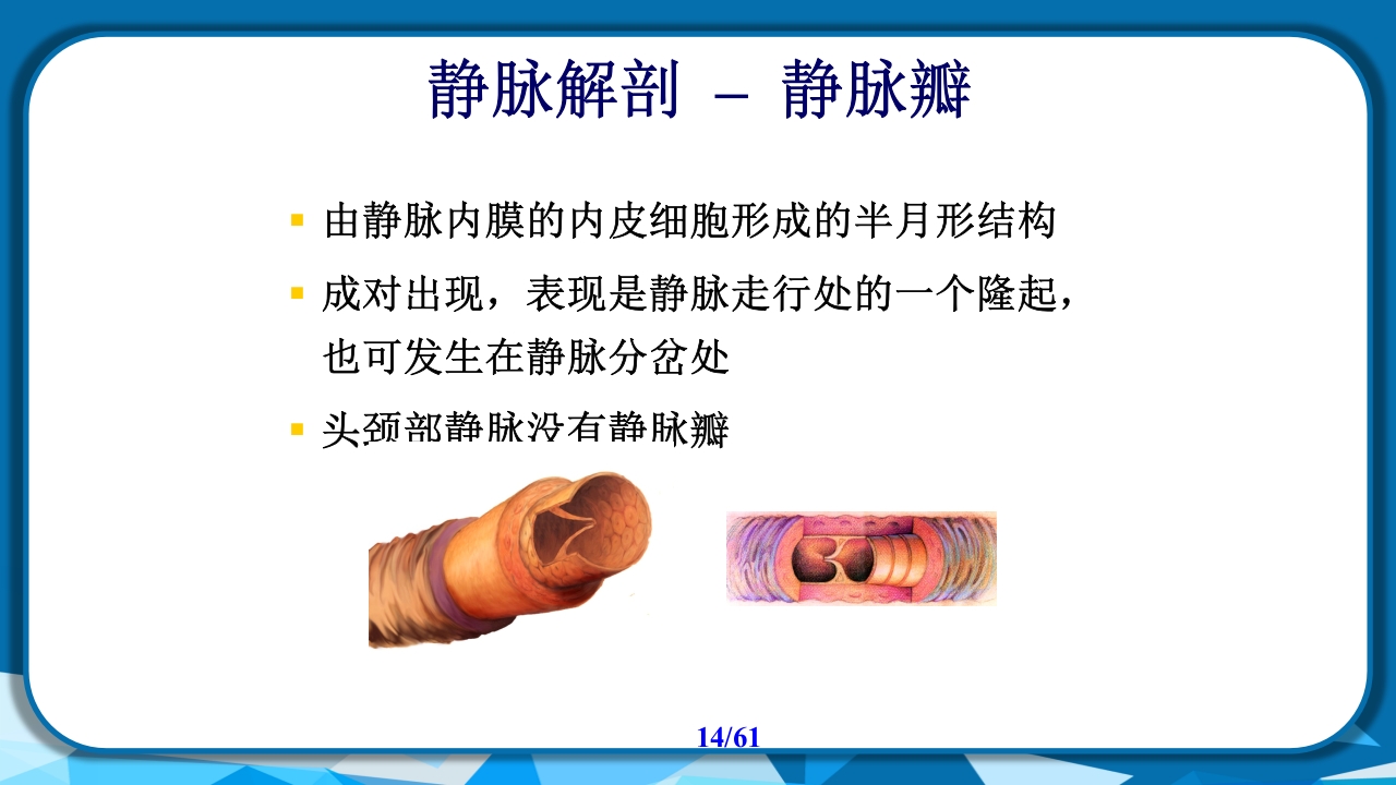 PICC导管相关性血栓形成及处理PPT课件14