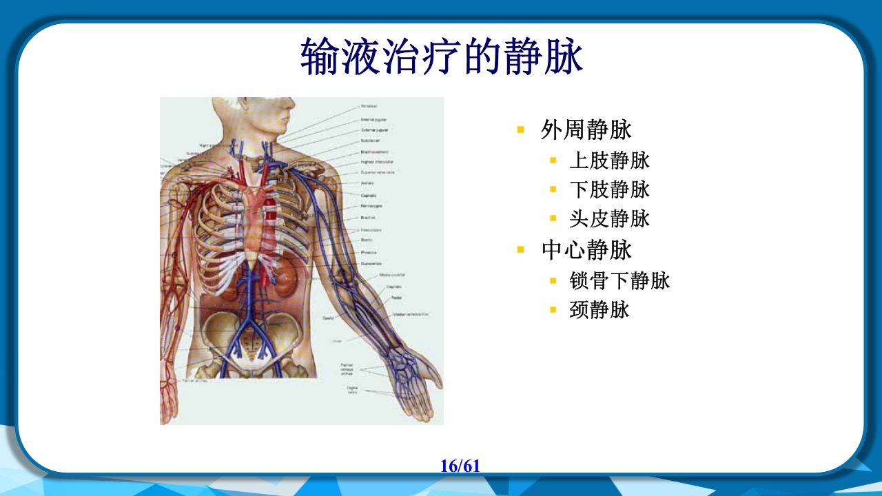 PICC导管相关性血栓形成及处理PPT课件16