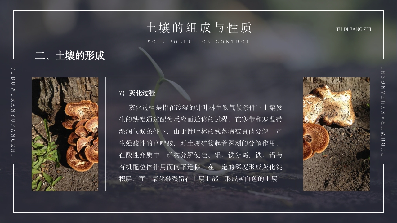 土壤环境污染防治与土壤生态保护PPT课件11