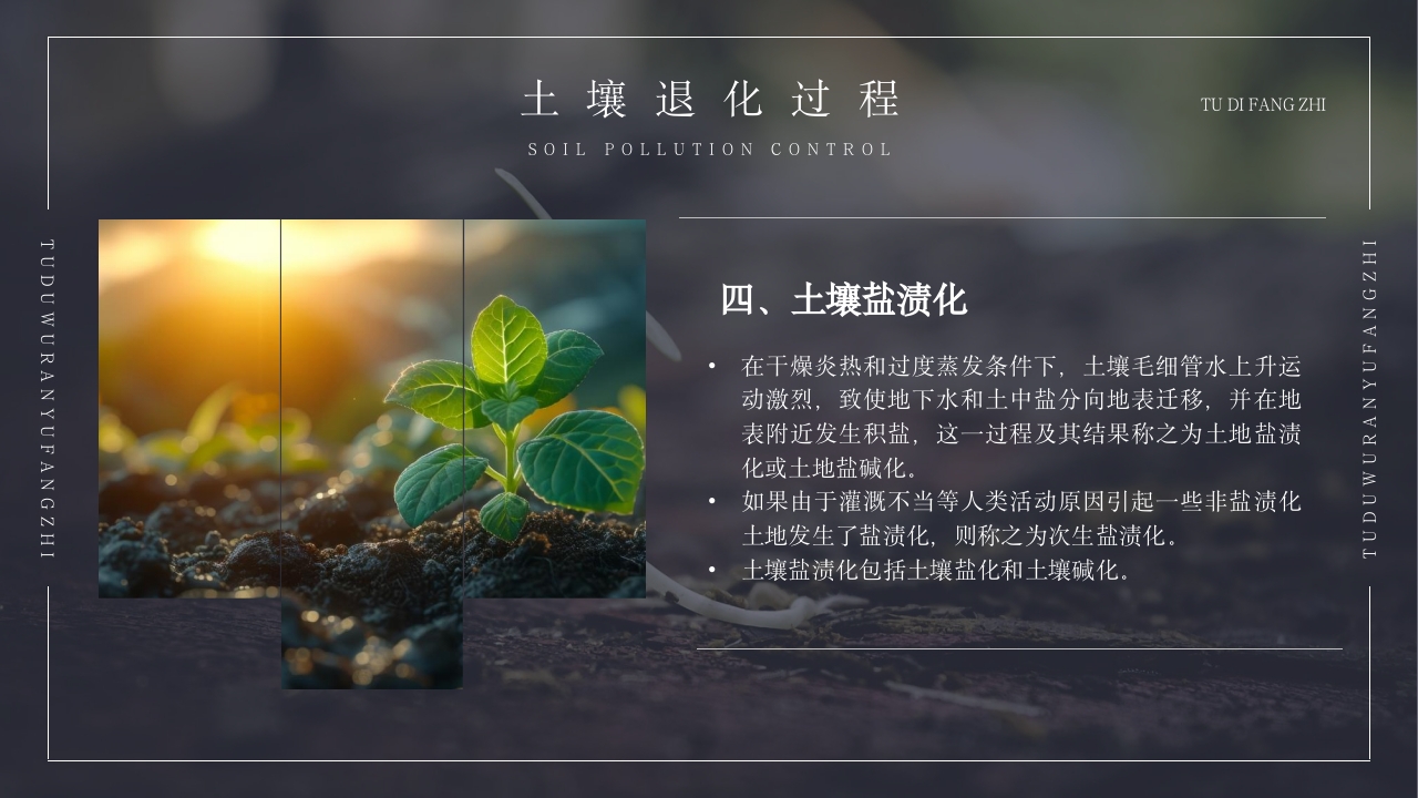 土壤环境污染防治与土壤生态保护PPT课件27