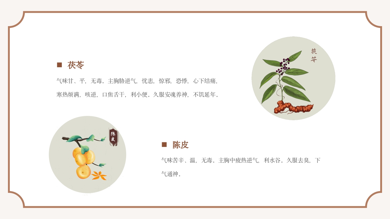 中医常见中草药培训PPT课件12