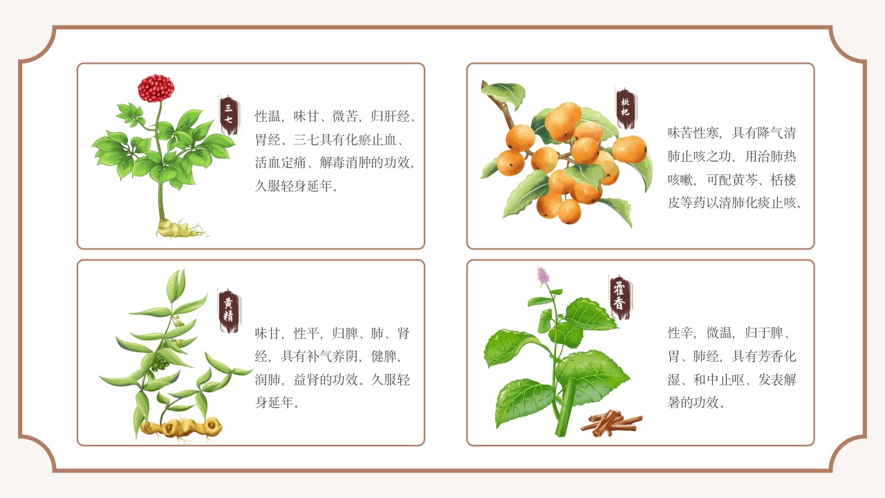 中医常见中草药培训PPT课件13