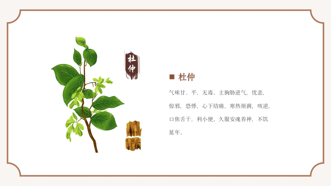 中医常见中草药培训PPT课件14