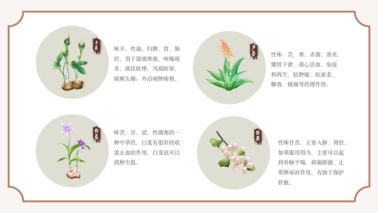 中医常见中草药培训PPT课件15