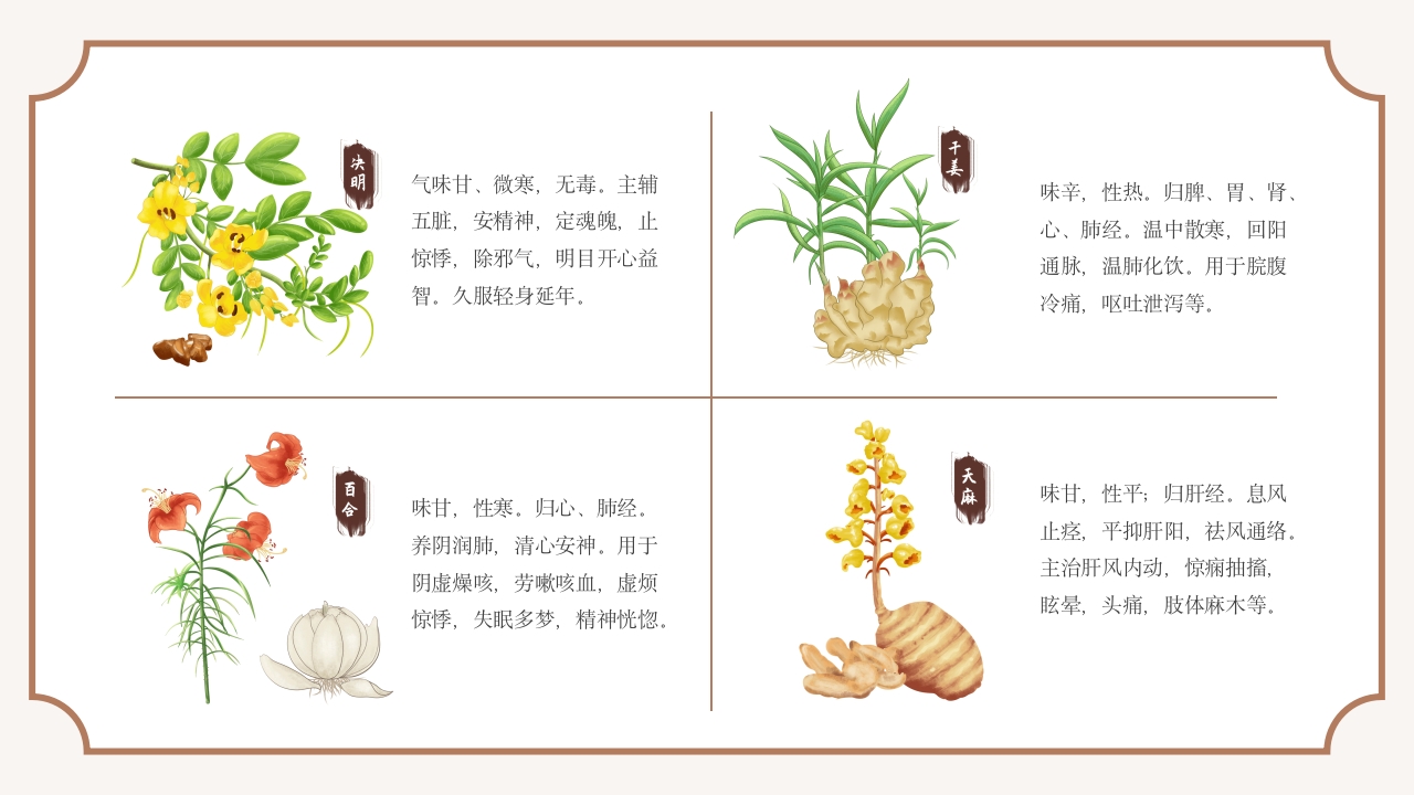 中医常见中草药培训PPT课件17