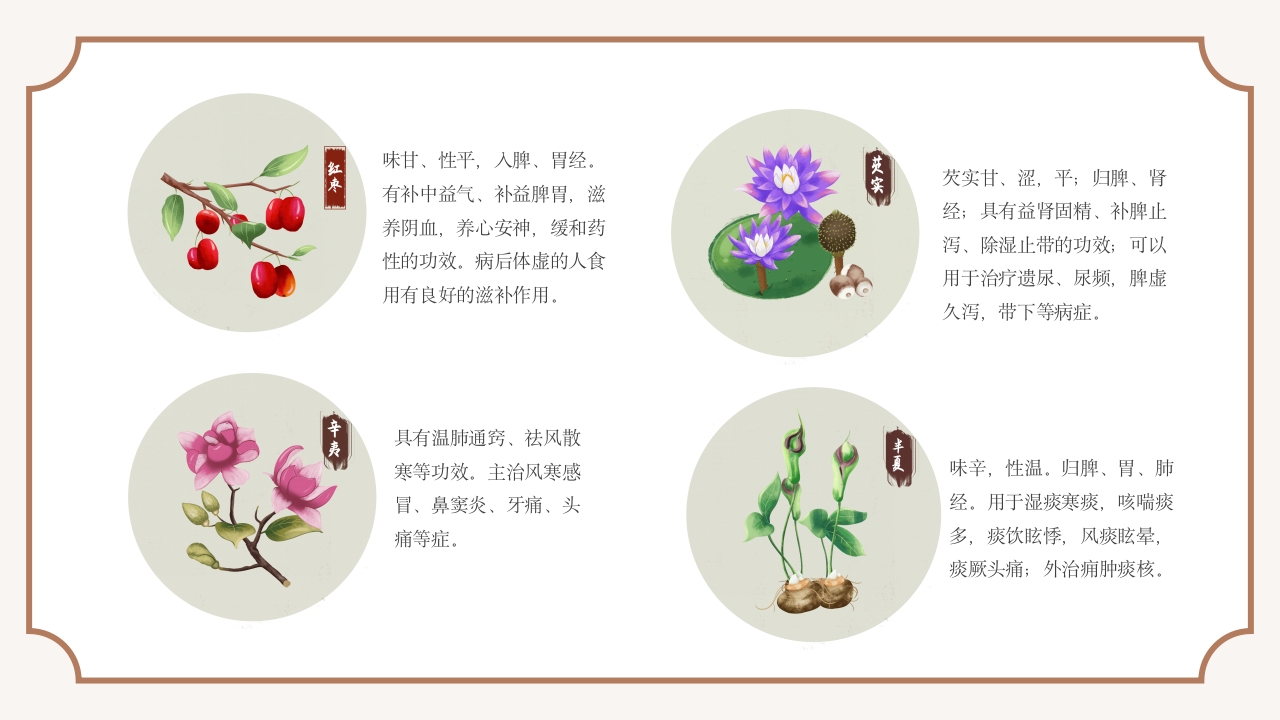 中医常见中草药培训PPT课件19