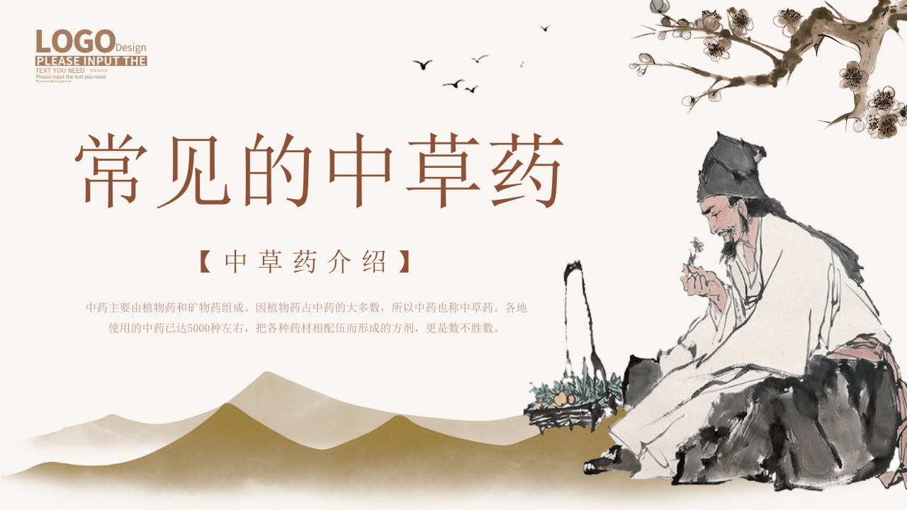 中医常见中草药培训PPT课件21