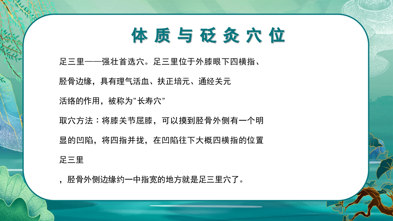 中医九种体质养生PPT课件16