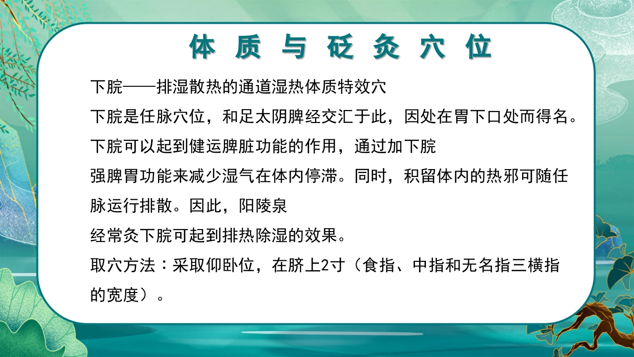 中医九种体质养生PPT课件29