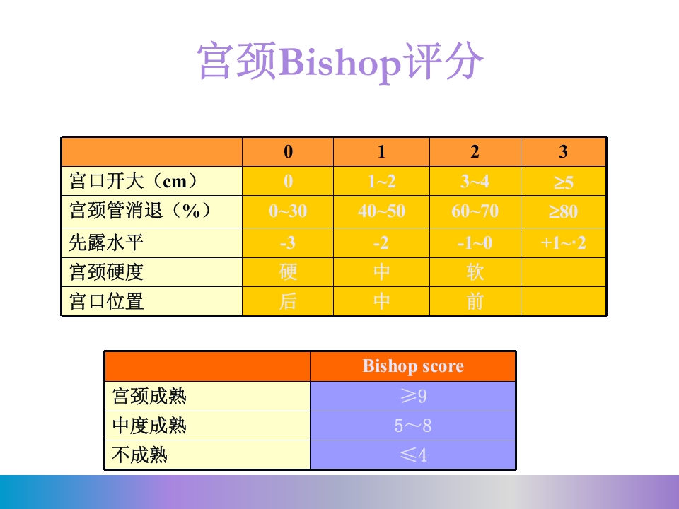 水囊引产术PPT课件7