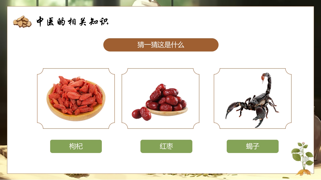 《神奇的中医》中医药进校园PPT课件11