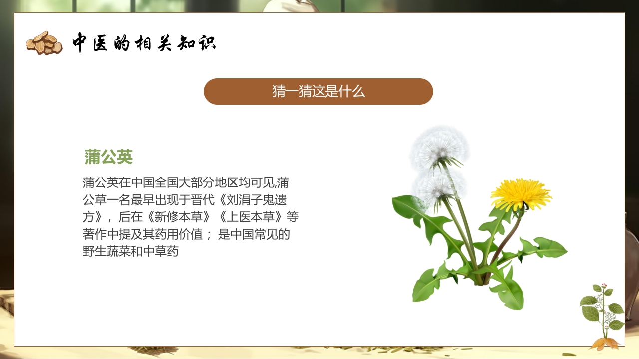 《神奇的中医》中医药进校园PPT课件12