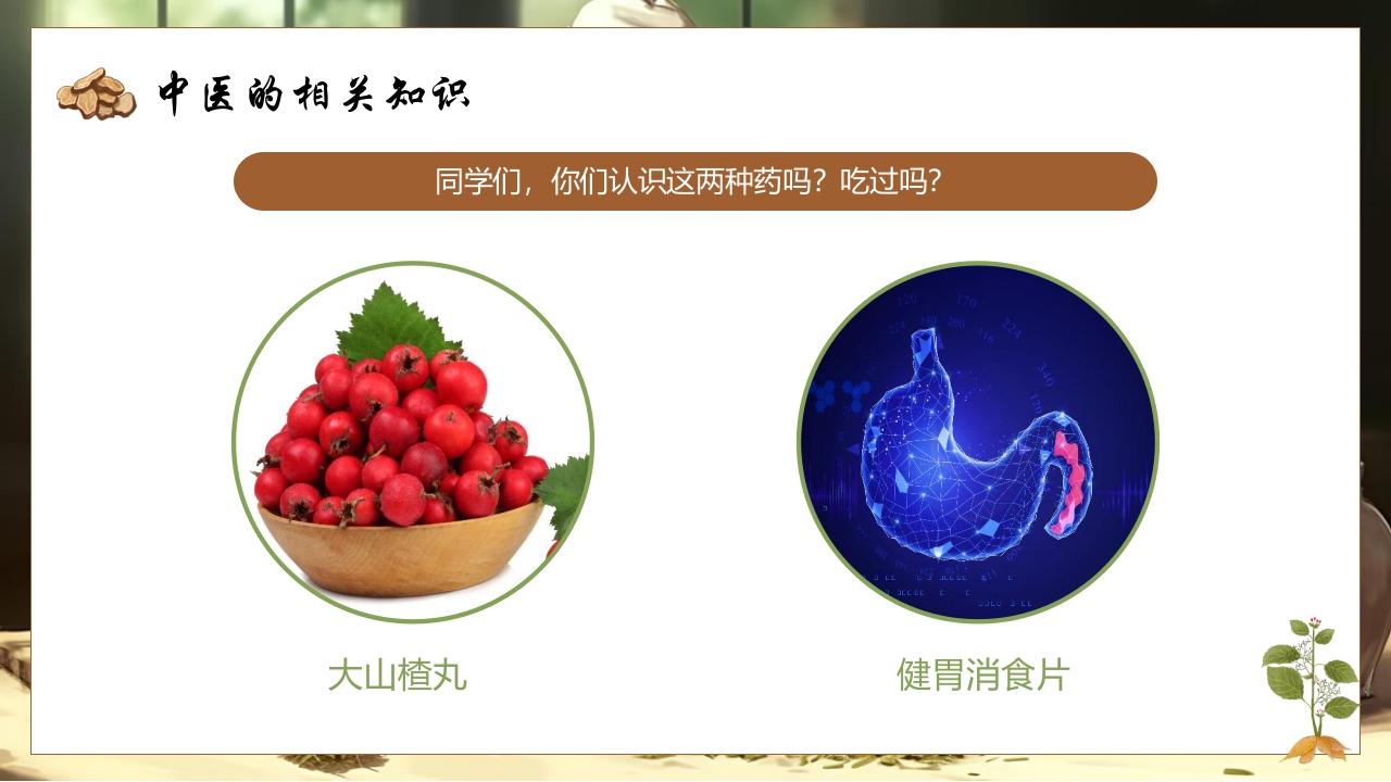 《神奇的中医》中医药进校园PPT课件4