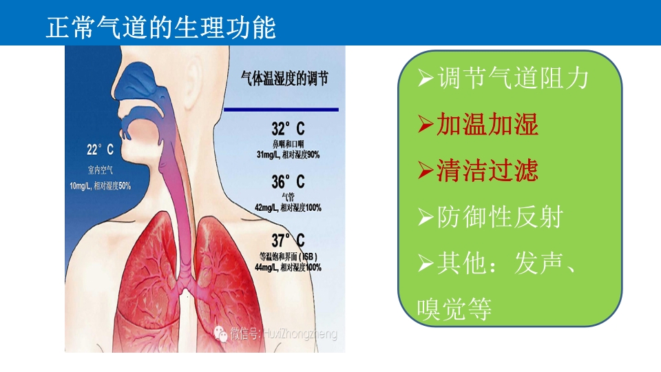 气道管理--气道湿化PPT课件4