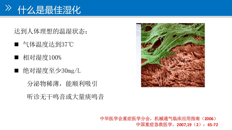 气道管理--气道湿化PPT课件5