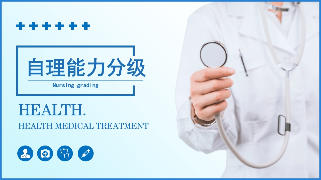 护理分级医药医学PPT课件15