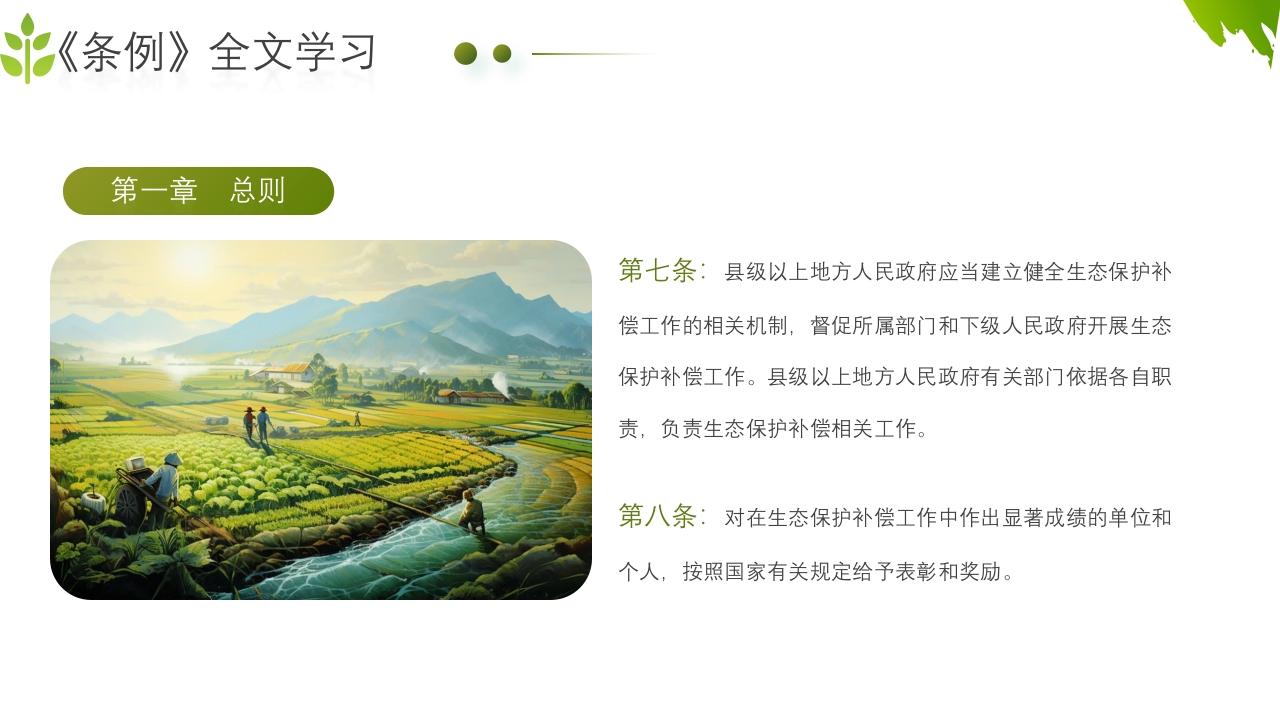 农业生态保护补偿条例PPT课件18