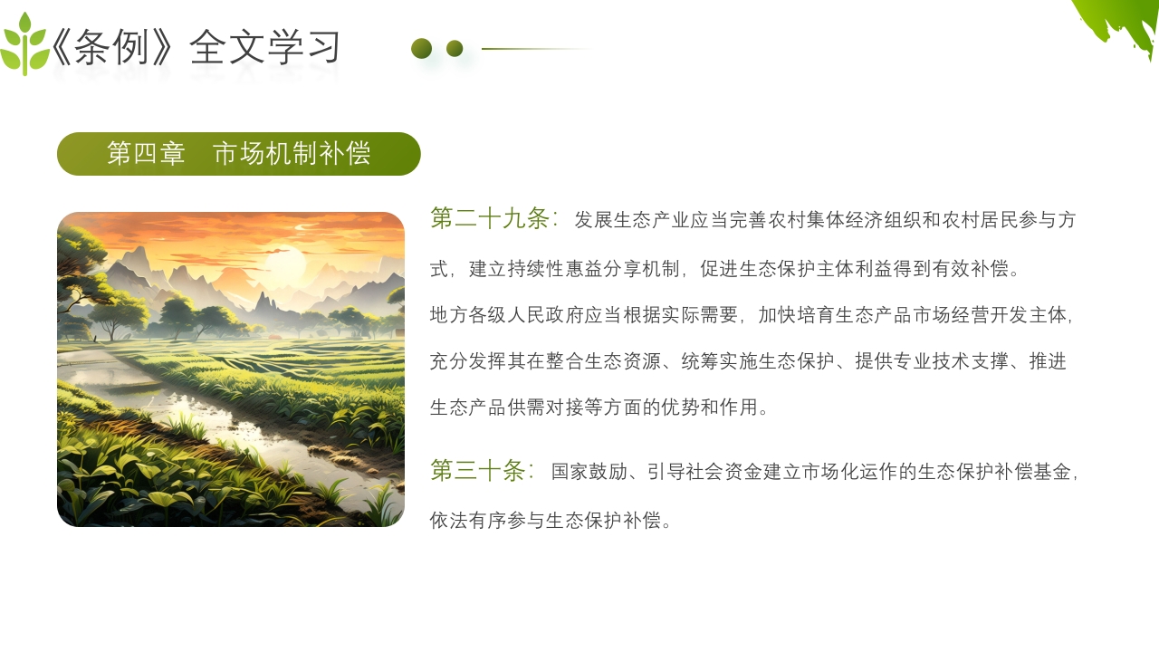 农业生态保护补偿条例PPT课件29