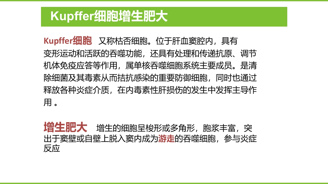 肝硬化PPT课件15