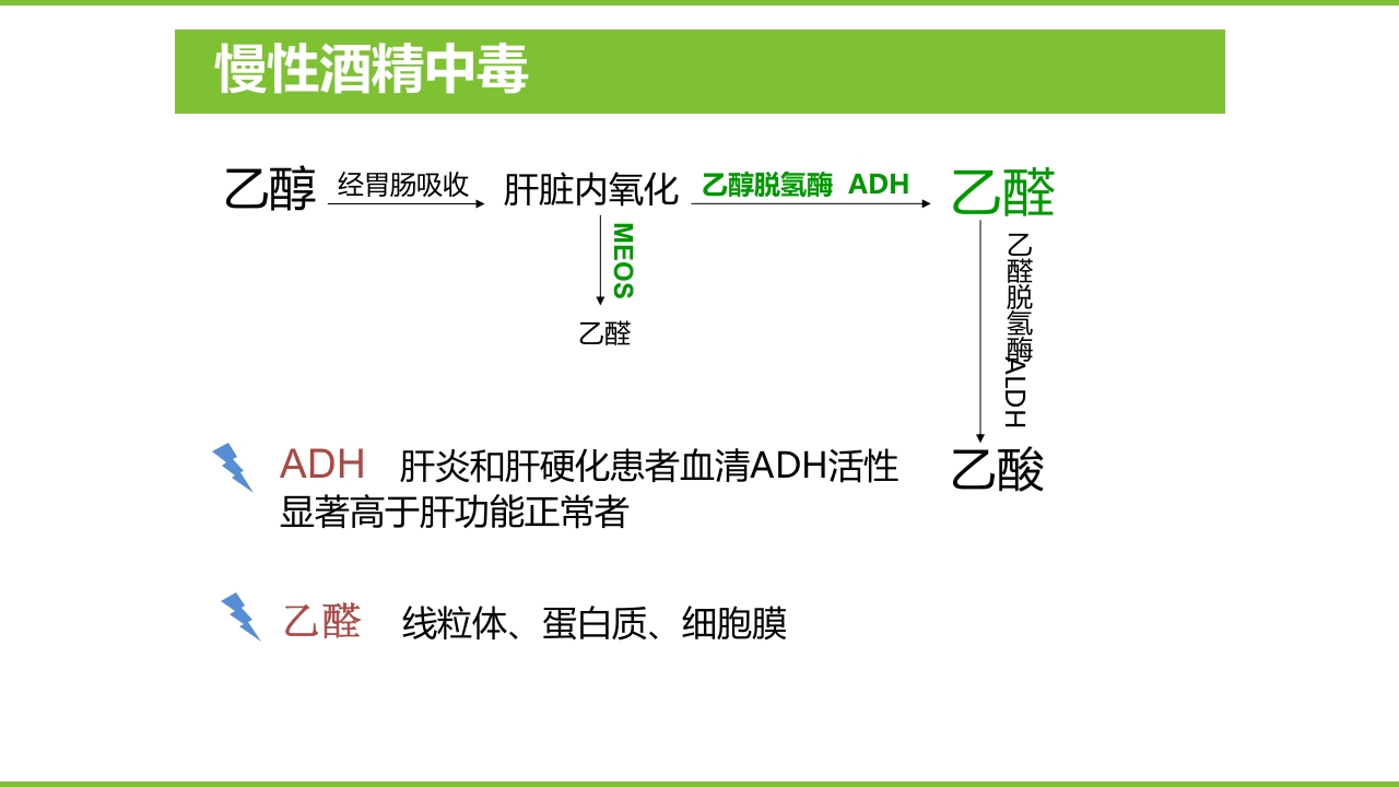 肝硬化PPT课件20