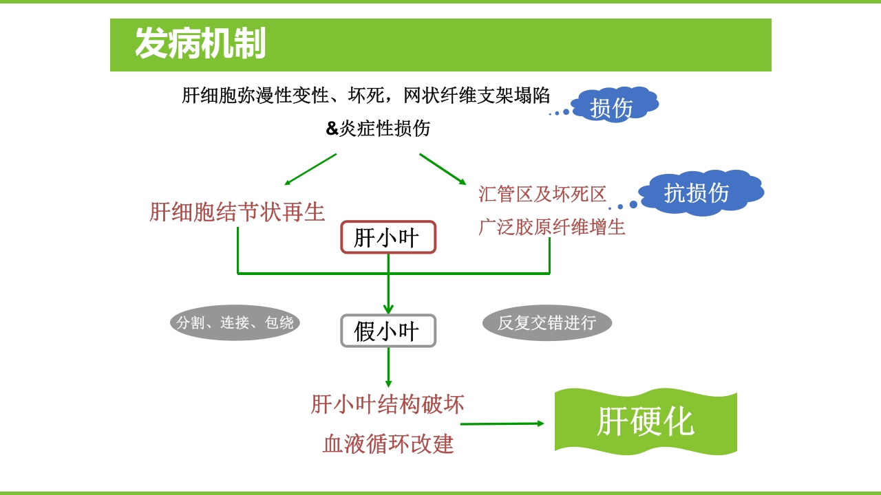 肝硬化PPT课件22