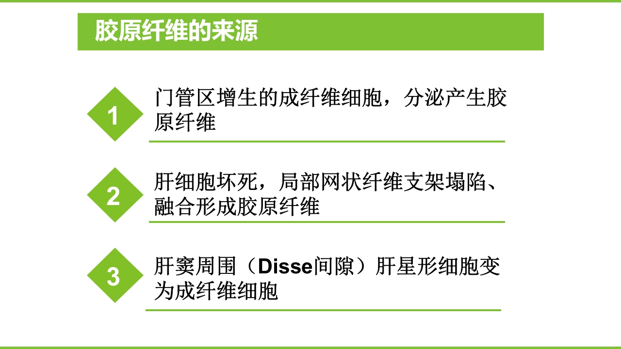 肝硬化PPT课件23