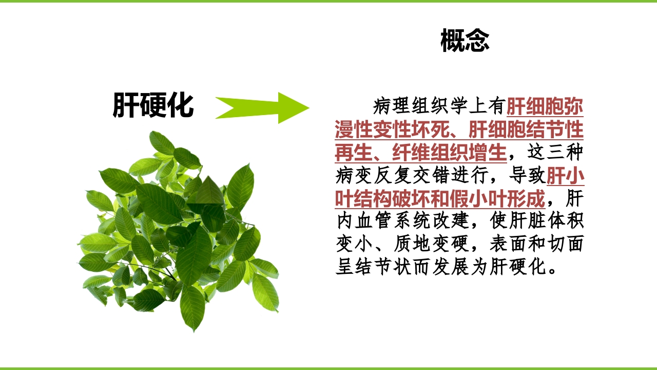 肝硬化PPT课件2