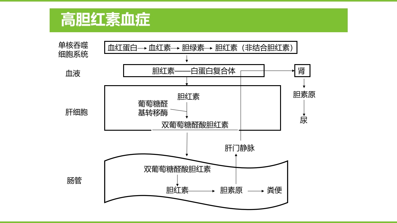肝硬化PPT课件47