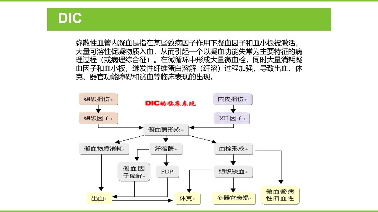 肝硬化PPT课件50