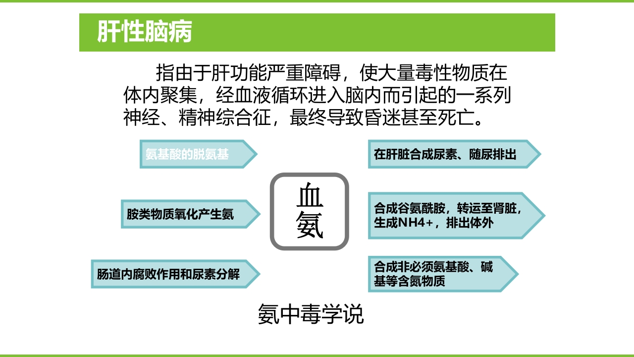 肝硬化PPT课件56
