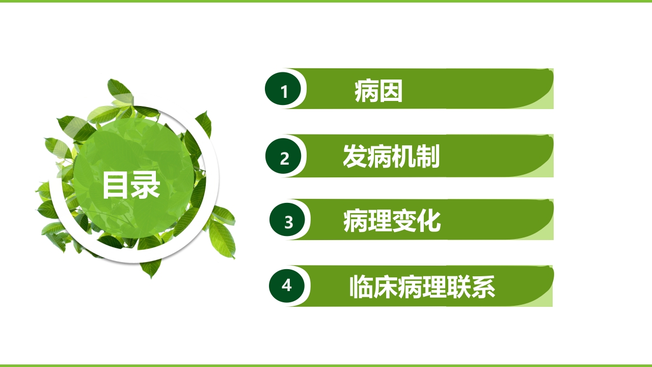 肝硬化PPT课件7