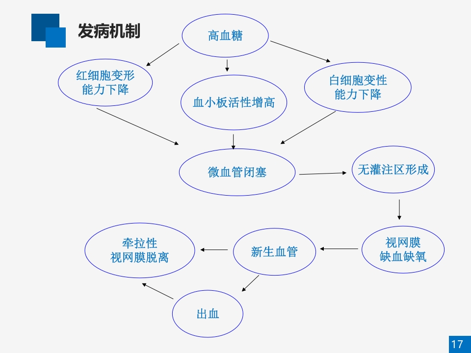 糖尿病视网膜病变病例讨论PPT课件17