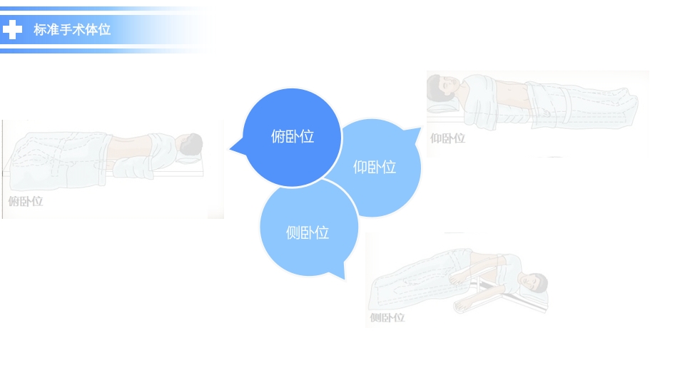 《手术体位》讲课比赛ppt课件6