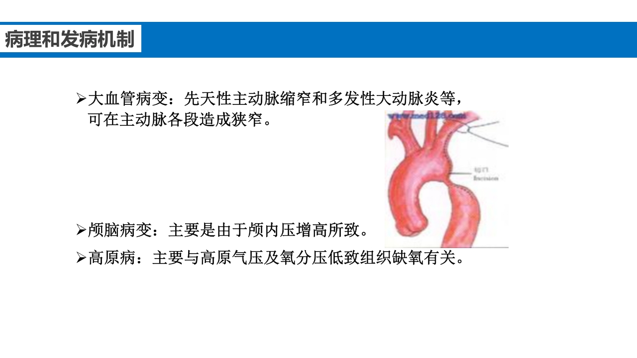 继发性高血压鉴别诊断PPT课件12