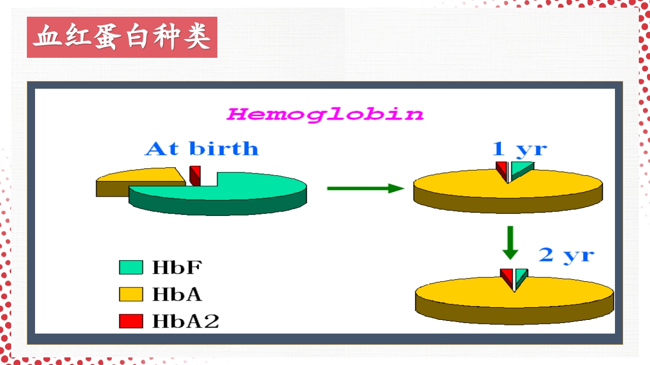 血常规·血红蛋白PPT课件11