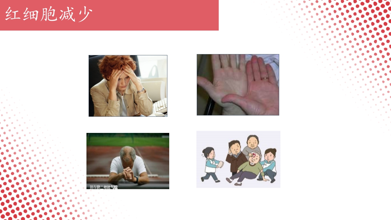 血常规·血红蛋白PPT课件20