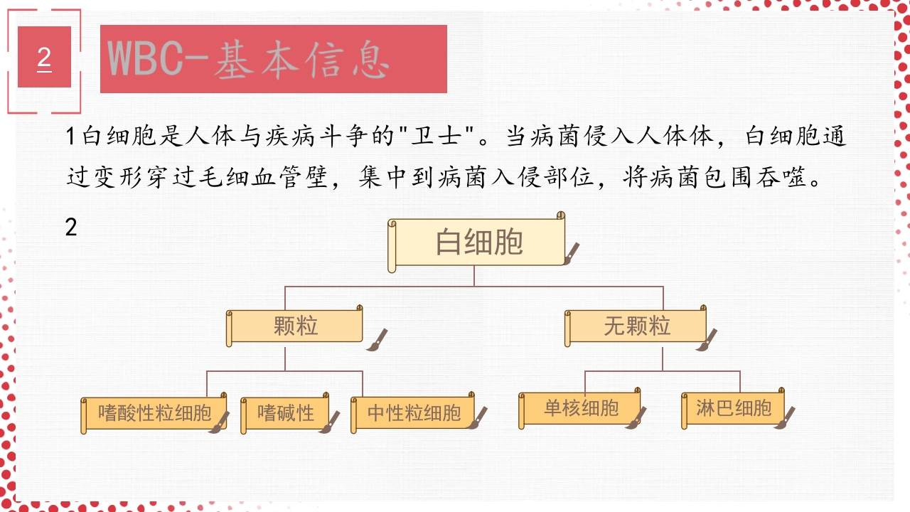 血常规·血红蛋白PPT课件28
